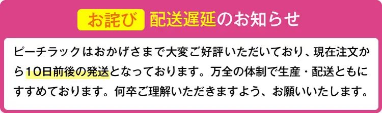 ピーチラック乙字湯／漢方生薬研究所 こんな“お尻